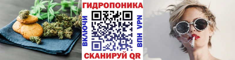 Купить  Бугульма  Canna-Cookies конопля 